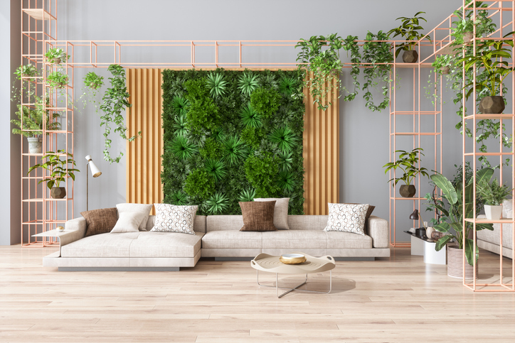 Zielona ściana z roślin w salonie